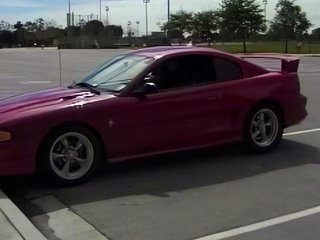 Close up amateur blowjob and hole licking