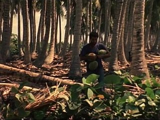 Outdoor softcore lesbo action